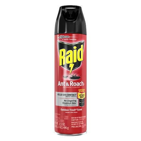 Raid Raid Insect Killer Aerosol 17.5 oz 21613